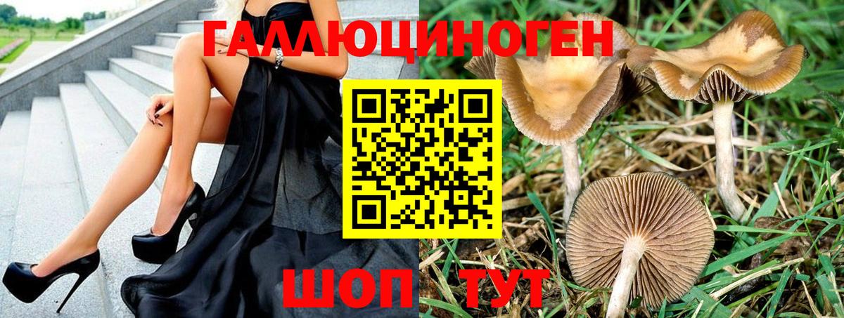 Псилоцибиновые грибы Cubensis  Псилоцибиновые грибы ЛСД  Янаул  Вход с VPN 